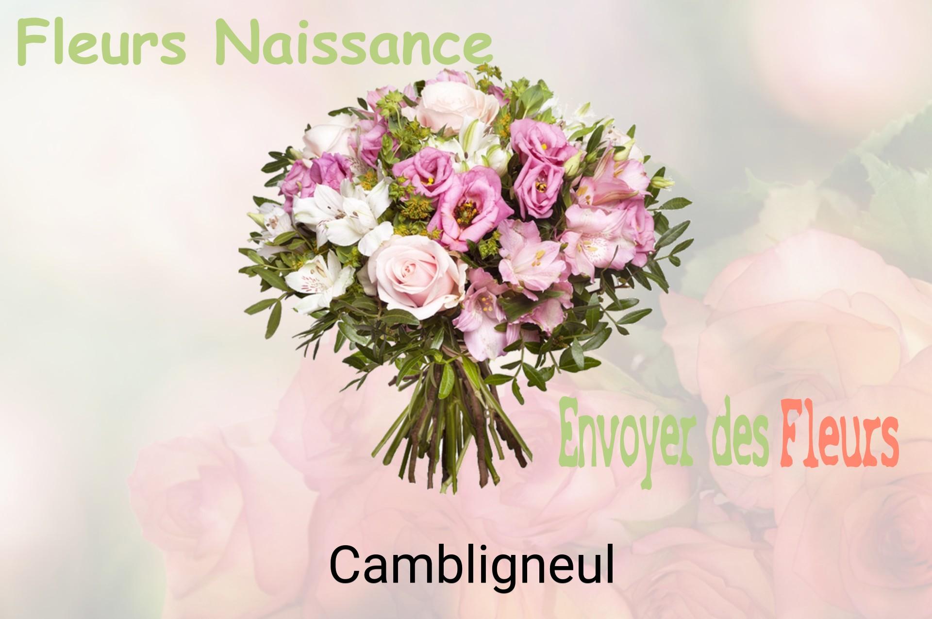 Bouquet de fleurs de naissance livré à Cambligneul