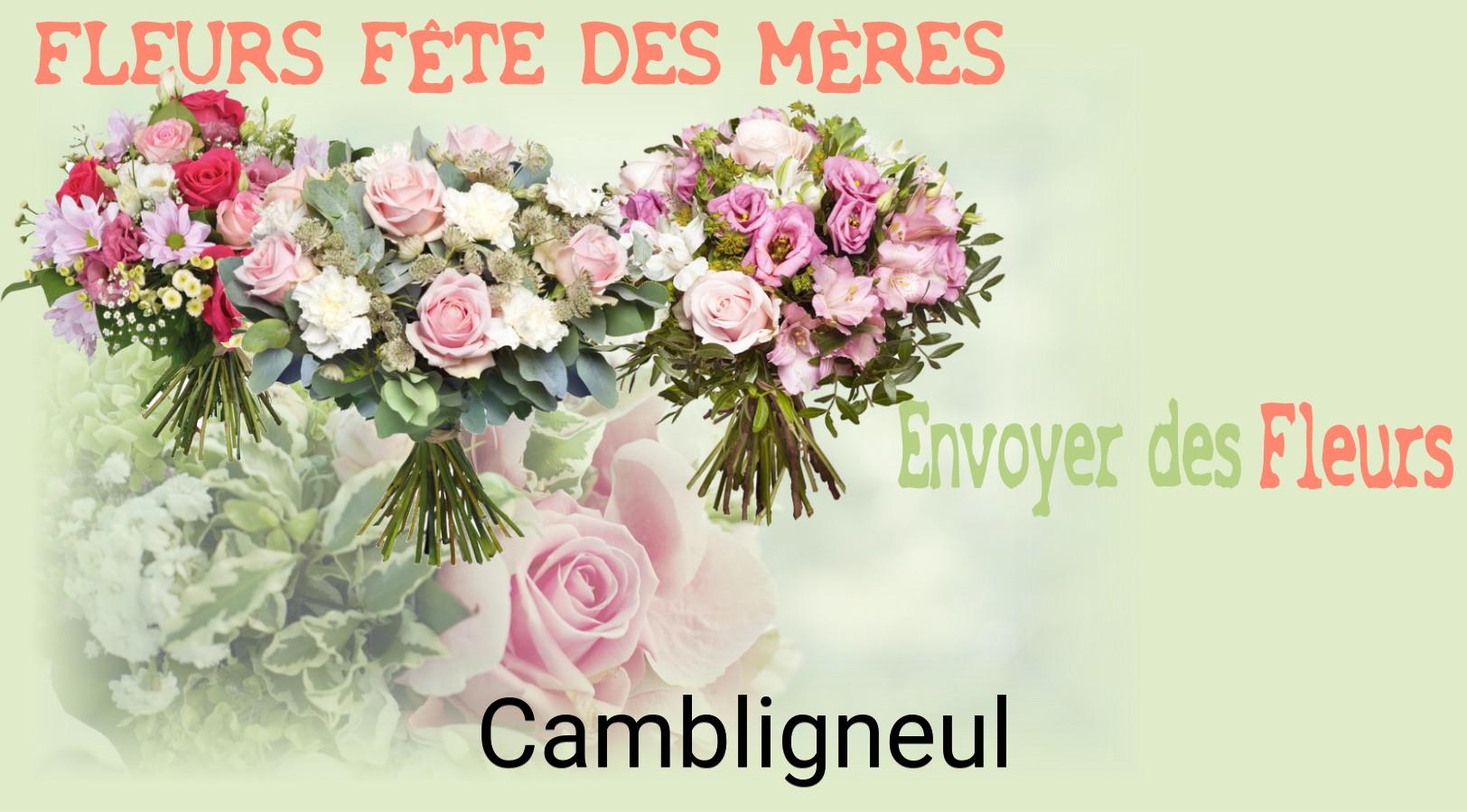 Bouquet de Fête des Mères livré à Cambligneul